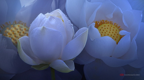 Любимый край