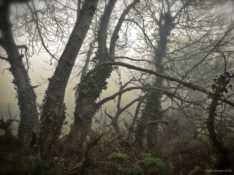 Стоят глубокие леса