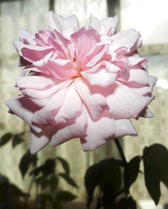 Никто ещё не повторил...