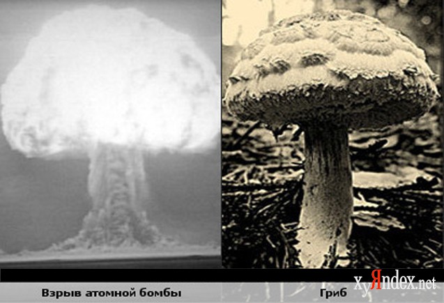 Разница водородной и атомной. Ядерный и водородный гриб. Взрыв ядерный гриб. Взрыв атомной бомбы гриб. Ядерная бомба гриб.