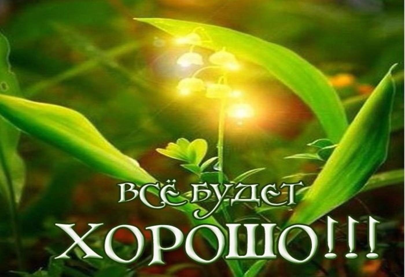 Жизнь продолжается несмотря ни на что