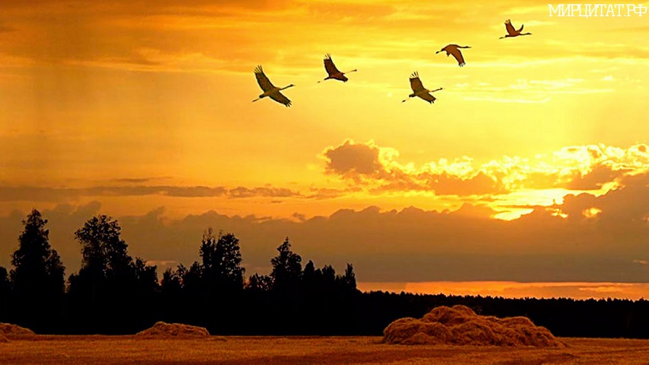 Природы дом