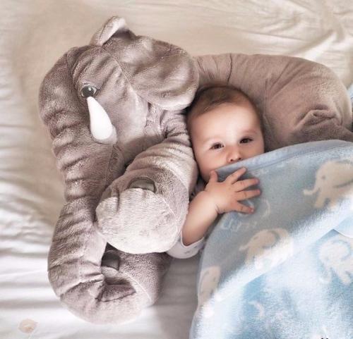 Скажи, ну разве виноват я, что родился?