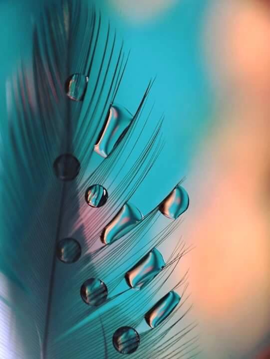 Я подчиняюсь твоей Воли!!!