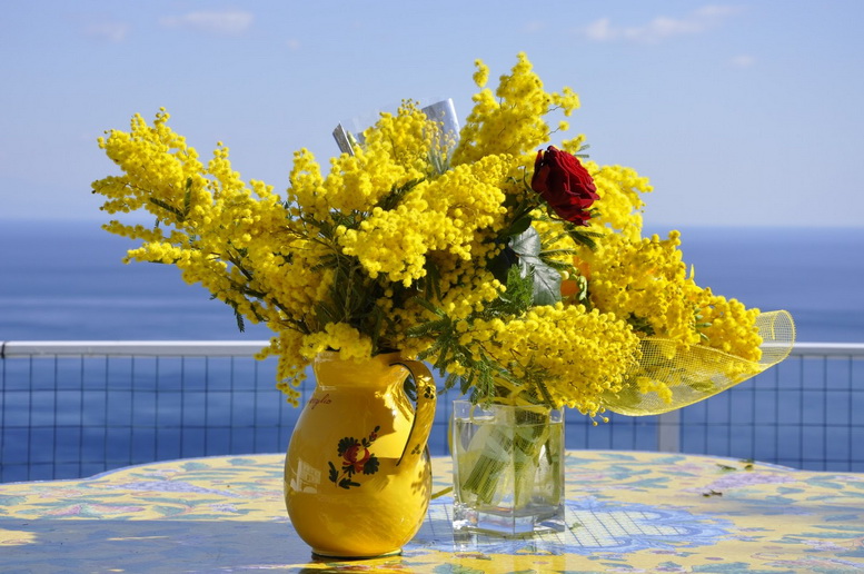 И как в душе цвели мимозы...