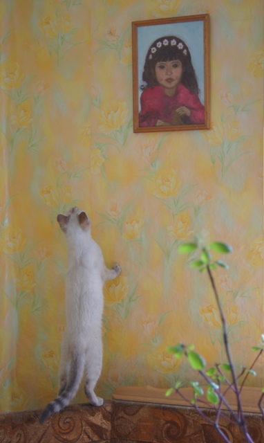 В рисованьи мой котенок ничего не понимал...