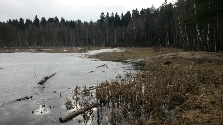 На Черном озере - весеннее затишье