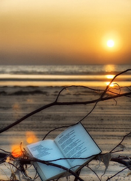 Поэт и поэзия