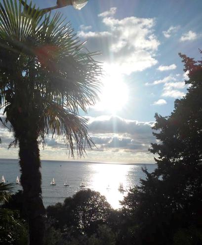 Хочу проснуться я в офшорной зоне