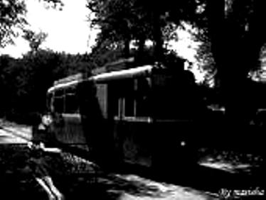 Что поделать?