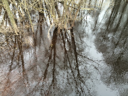 Люблю апрель!