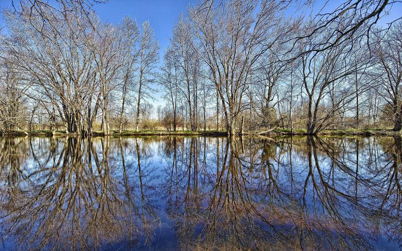 Голубая - весна! Голубая!