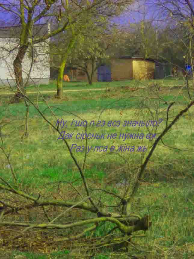 Дан ля нам, дуракам,