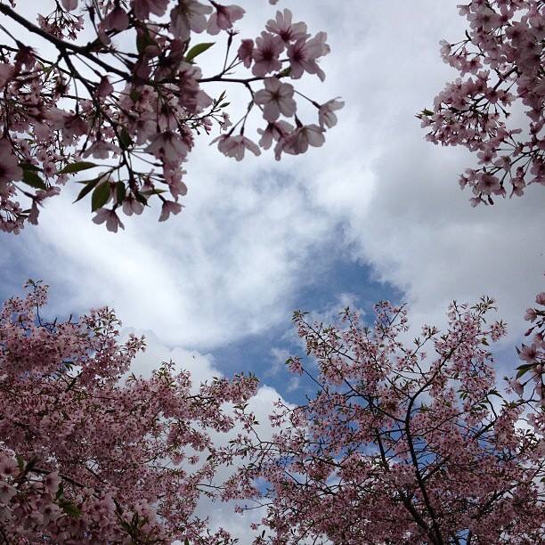 Погрузиться в молитву