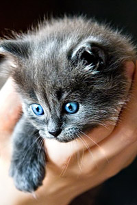 Вечер вдвоём...