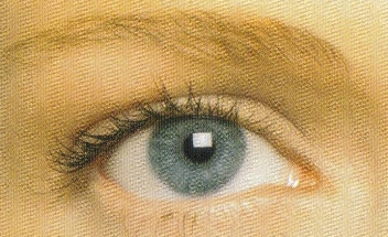 По четыре строчки о разном 145