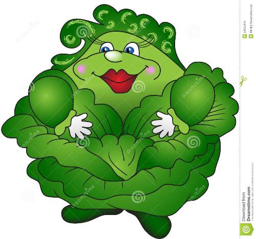 Огородные истории. Капуста