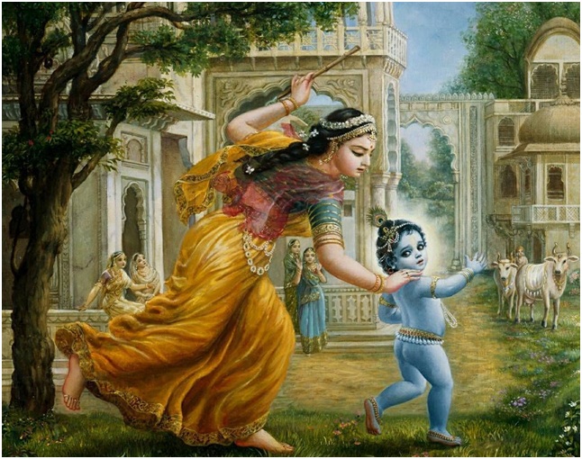 Дамадора лила