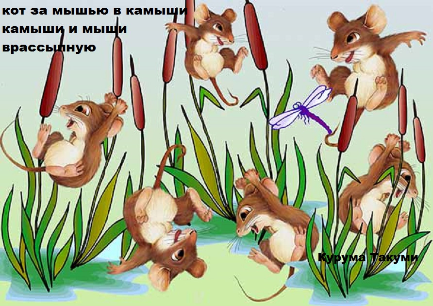 Кот за мышью... Хайга. 2