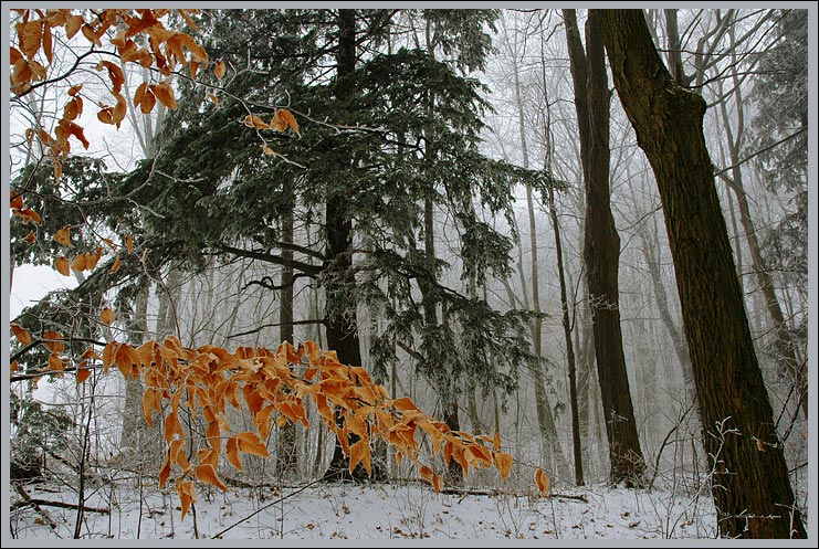 Межсезонье