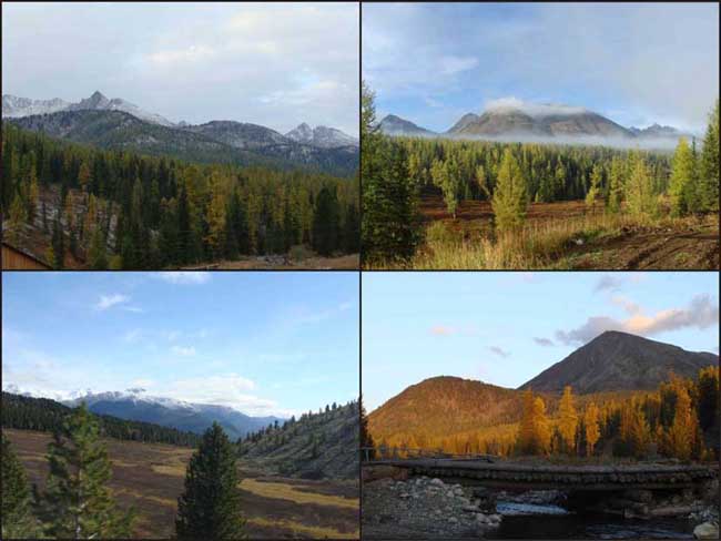 Шум реки и привольность лесная