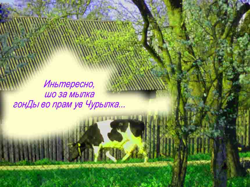 К культуре новой ж очень