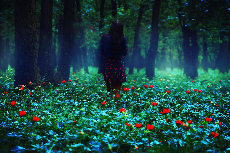 Чьи в лесу шишки...