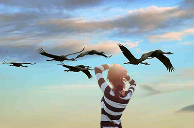 Журавли, журавушки