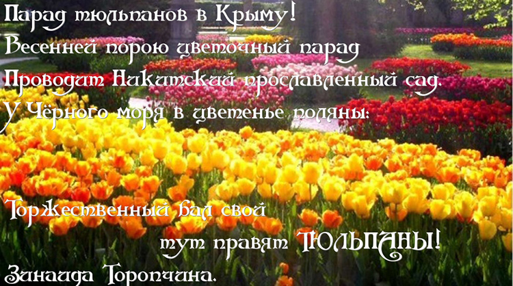 Парад тюльпанов в Крыму! Зинаида Торопчина