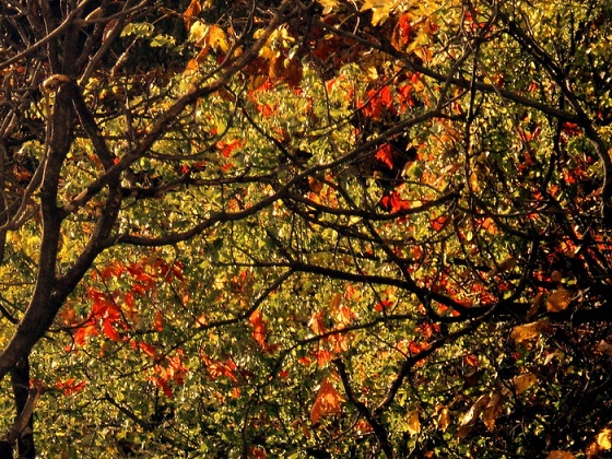 Трогает дым (Шумерец) / Стихи.ру