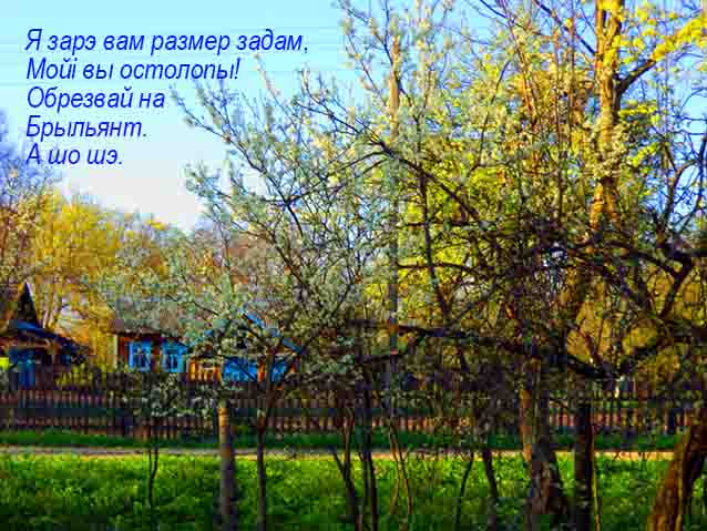 Маи ты ш клопаты увзнаш