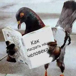 Ну, надо жже?!