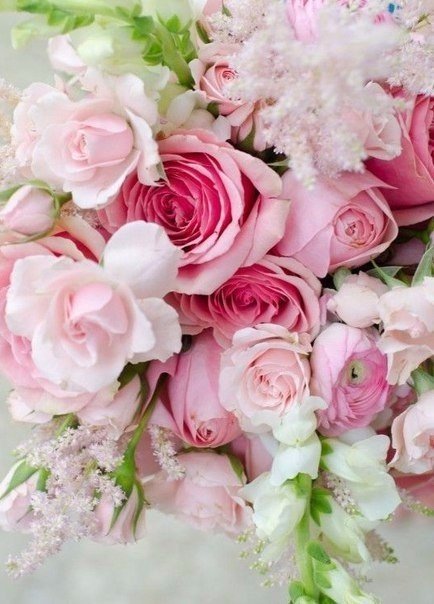 Цветы моей жизни