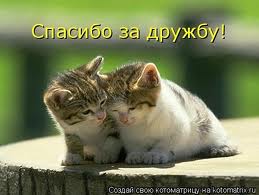 Дорожу друзьями!