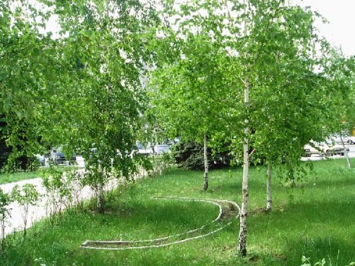 Кружевное облако плывёт
