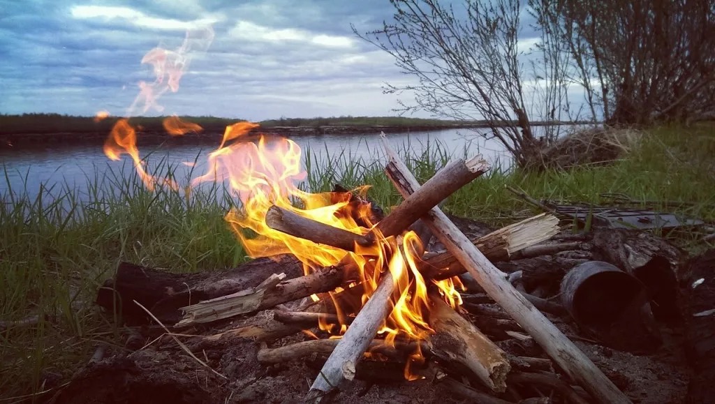И в нас-из нас, шурша ползет... (Ирэн Дрозд) / Стихи.ру