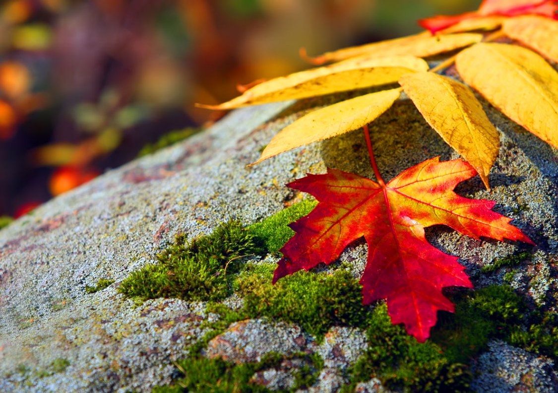 Две тысячи девять... кончается лето