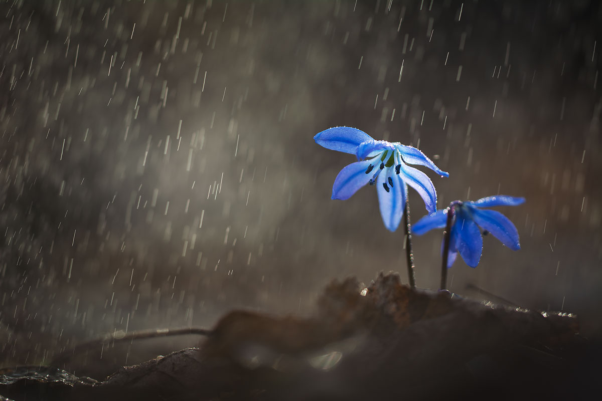 Нас разлучила твоя ревность...