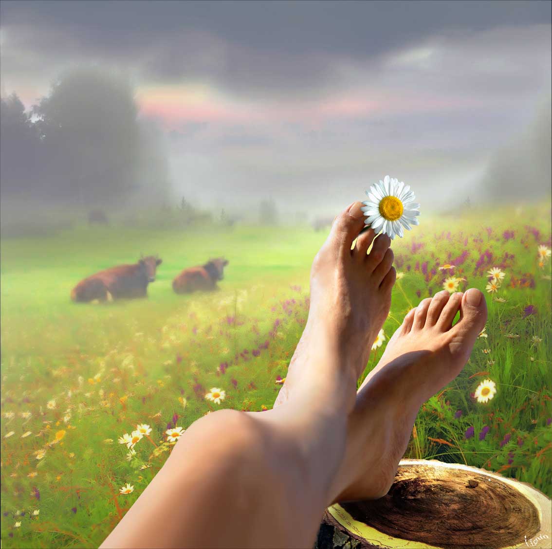 Я твоё хобби... ты моя жизнь...