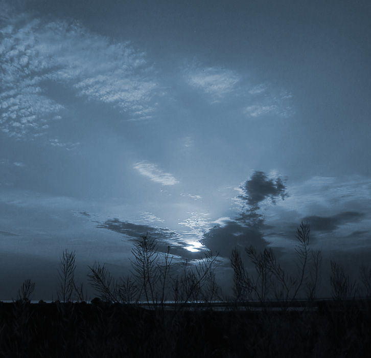 Дай мне его не забыть... прошу...