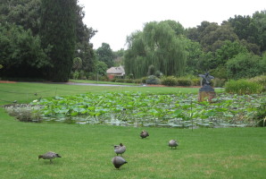 Осень в Садике Zen