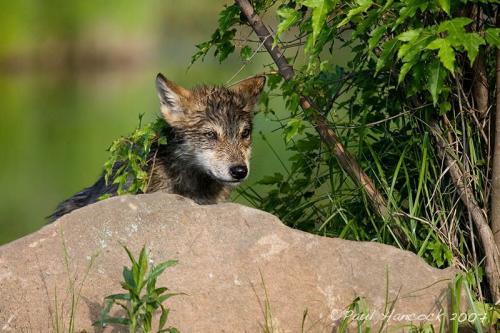 Так получилось, что тут скажешь