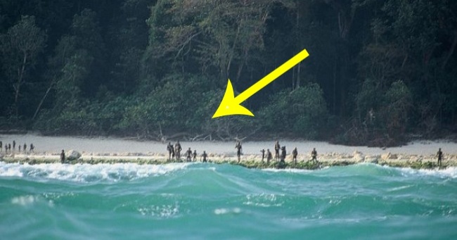 Homo sapiens - человек разумный!