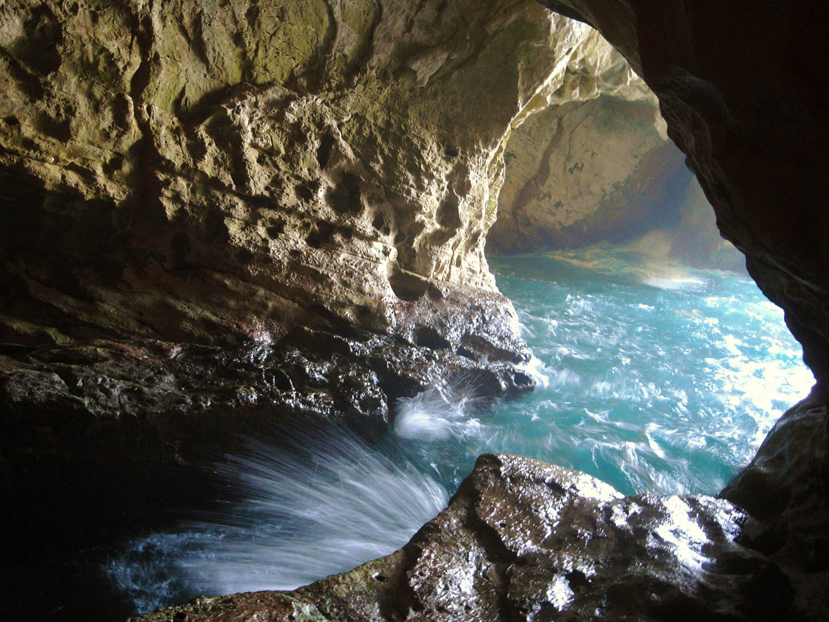 Фестивальное