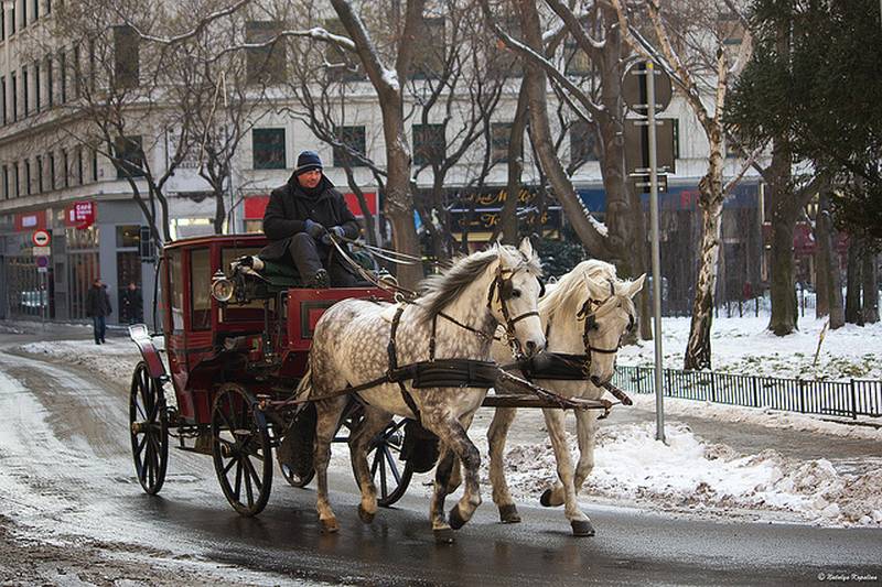 Улицы вены зимой