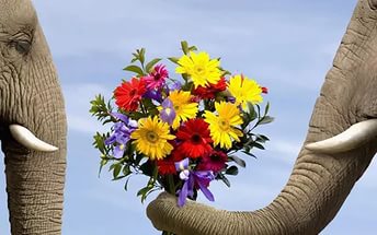 Вместо поцелуя