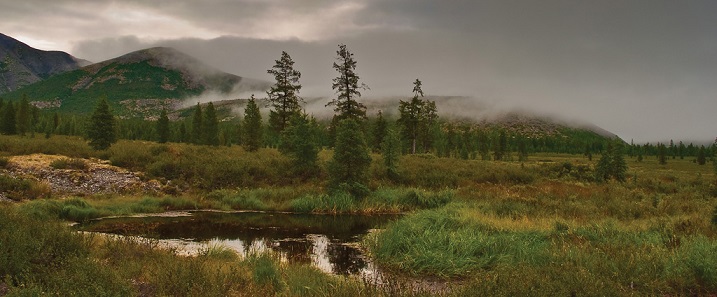 за запахом тайги. сибирь туман и запах тайги. за туманом и за запахом тайги. а я еду за туманом и за запахом тайги. за туманом.