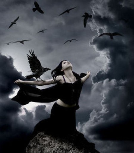 вороной 29. 04. 2016