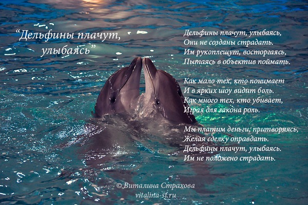 Дельфины плачут, улыбаясь.