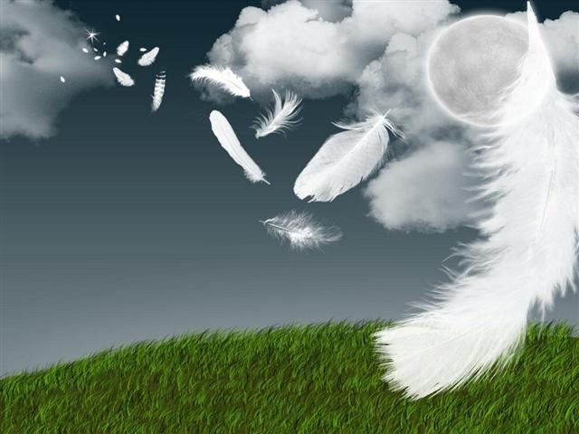 Немного о прошедшем сезоне...